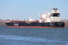 Thumbnail Image for Yasa Albatross