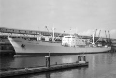 Thumbnail Image for Beringcore