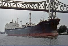 Thumbnail Image for Bolnes