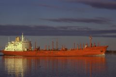 Thumbnail Image for Bow Rogn