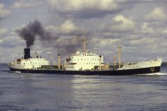 Thumbnail Image for Calypso