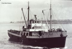 Thumbnail Image for D'Vora