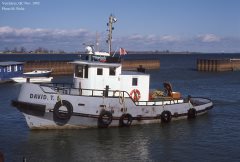 Thumbnail Image for David T.D.