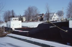 Thumbnail Image for David T.D.