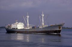 Thumbnail Image for Doroty Seconda