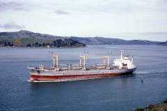 Thumbnail Image for Epimelia