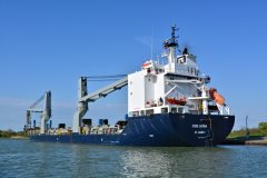 Thumbnail Image for COE Luisa