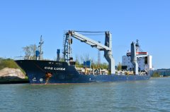 Thumbnail Image for COE Luisa