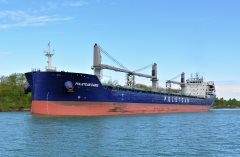 Thumbnail Image for Polsteam Dabie