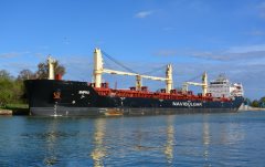 Thumbnail Image for Shipka