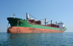 Thumbnail Image for Gadwall oncontextmenu=