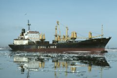 Thumbnail Image for Kappara