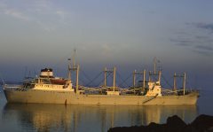 Thumbnail Image for Frances Salman