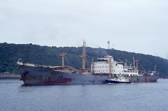 Thumbnail Image for Gardenia