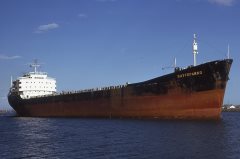 Thumbnail Image for Gattopardo