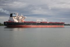 Thumbnail Image for Aigeorgis