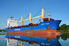 Thumbnail Image for Kurt Paul