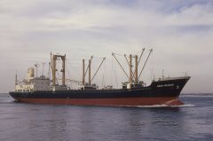 Thumbnail Image for Hedi Wiards