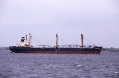 Thumbnail Image for Heide Leonhardt