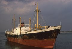 Thumbnail Image for Iamatikos