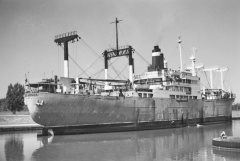 Thumbnail Image for Santa Monica