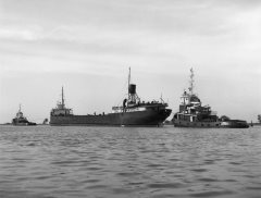 Thumbnail Image for Poweraux Peter