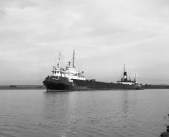 Thumbnail Image for Poweraux Peter