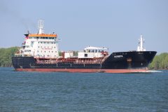 Thumbnail Image for Algoberta