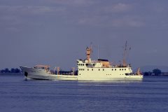 Thumbnail Image for Dawson