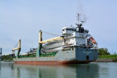 Thumbnail Image for Stellar Maestro