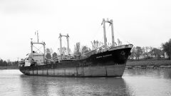 Thumbnail Image for Inalotte Blumenthal