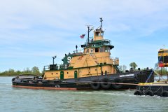 Thumbnail Image for Brinn Courtney