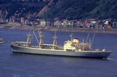 Thumbnail Image for Meric