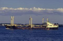 Thumbnail Image for Michalis K.