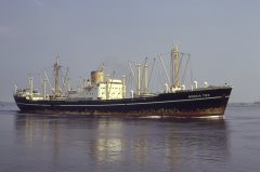 Thumbnail Image for Mondia II