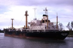 Thumbnail Image for Monika Wiards