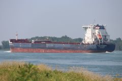 Thumbnail Image for Algoma Equinox