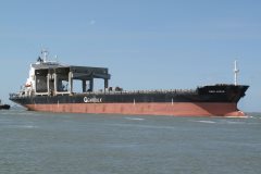 Thumbnail Image for Swan Arrow