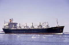 Thumbnail Image for Norse Viking