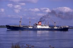 Thumbnail Image for Nurmahal