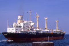 Thumbnail Image for Octavia