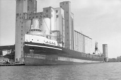 Thumbnail Image for Judith M. Pierson