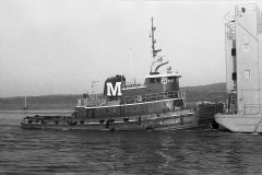 Thumbnail Image for Judy Moran