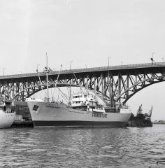 Thumbnail Image for Waldemar Peter