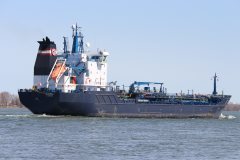 Thumbnail Image for Algosea