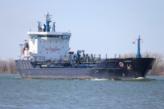 Thumbnail Image for Algosea