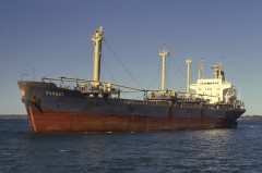 Thumbnail Image for Passat