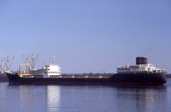 Thumbnail Image for Pengall