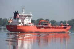 Thumbnail Image for Algoterra