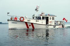 Thumbnail Image for Dimimanic